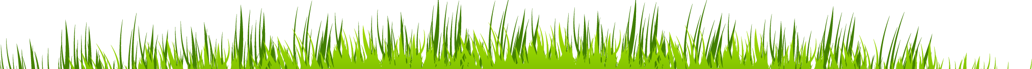 grass border